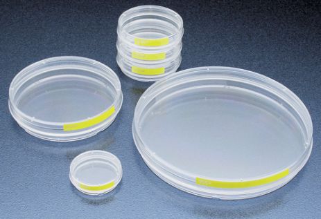 10 Sätze sterile Petrischalen Laboratorium Zellkulturschalen Zellkulturplatten 